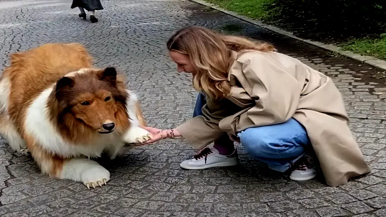 Toco Pria Jepang yang Berani Hidup Seperti Anjing